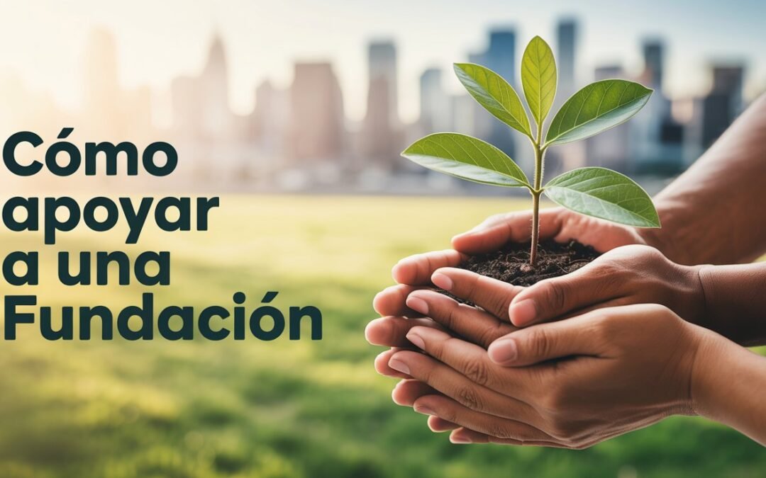 Cómo Apoyar a una Fundación en Colombia: Guía Completa con Beneficios Tributarios