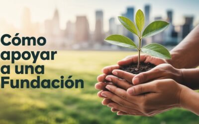 Cómo Apoyar a una Fundación en Colombia: Guía Completa con Beneficios Tributarios